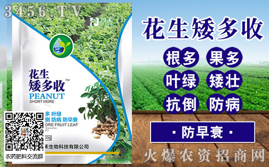 河南省驻马店今日花价格行情动态2019-8-7 河南省驻马店今日花价格行情动态2019-8-7